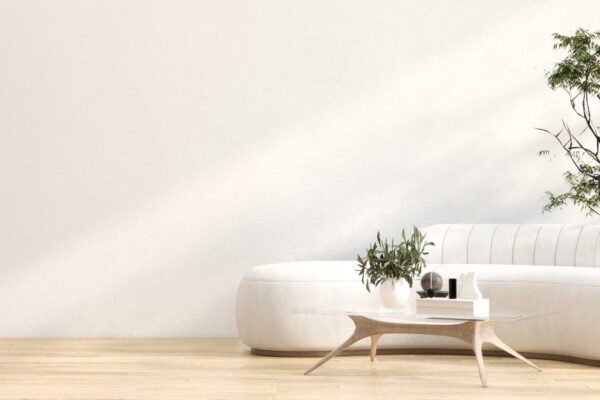 minmalist living room with couch and indoor plant